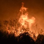 Λέσβος:-Προφυλακίστηκε-ο-57χρονος-που-ομολόγησε-τέσσερις-εμπρησμούς