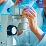 Σε-ποιους-κλάδους-τοποθετούνται-τα-διεθνή-funds