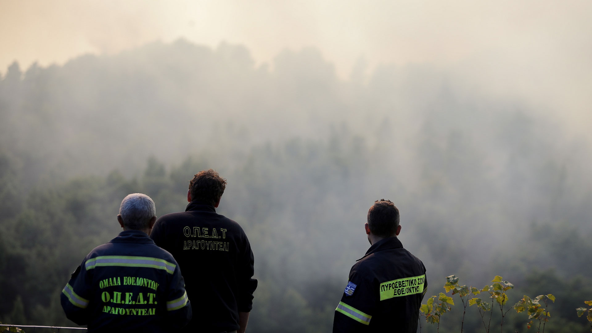 Χειροπέδες-σε-δημοτικό-υπάλληλο-για-τέσσερις-εμπρησμούς-στην-Παλλήνη-–-Πώς-δρούσε