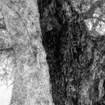 Πού-βγαίνουμε-σήμερα-Τετάρτη;-Προτάσεις-για-θέατρο,-συναυλίες,-εκθέσεις,-εκδηλώσεις