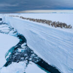 Φωτογραφίες-Αγριας-Ζωής