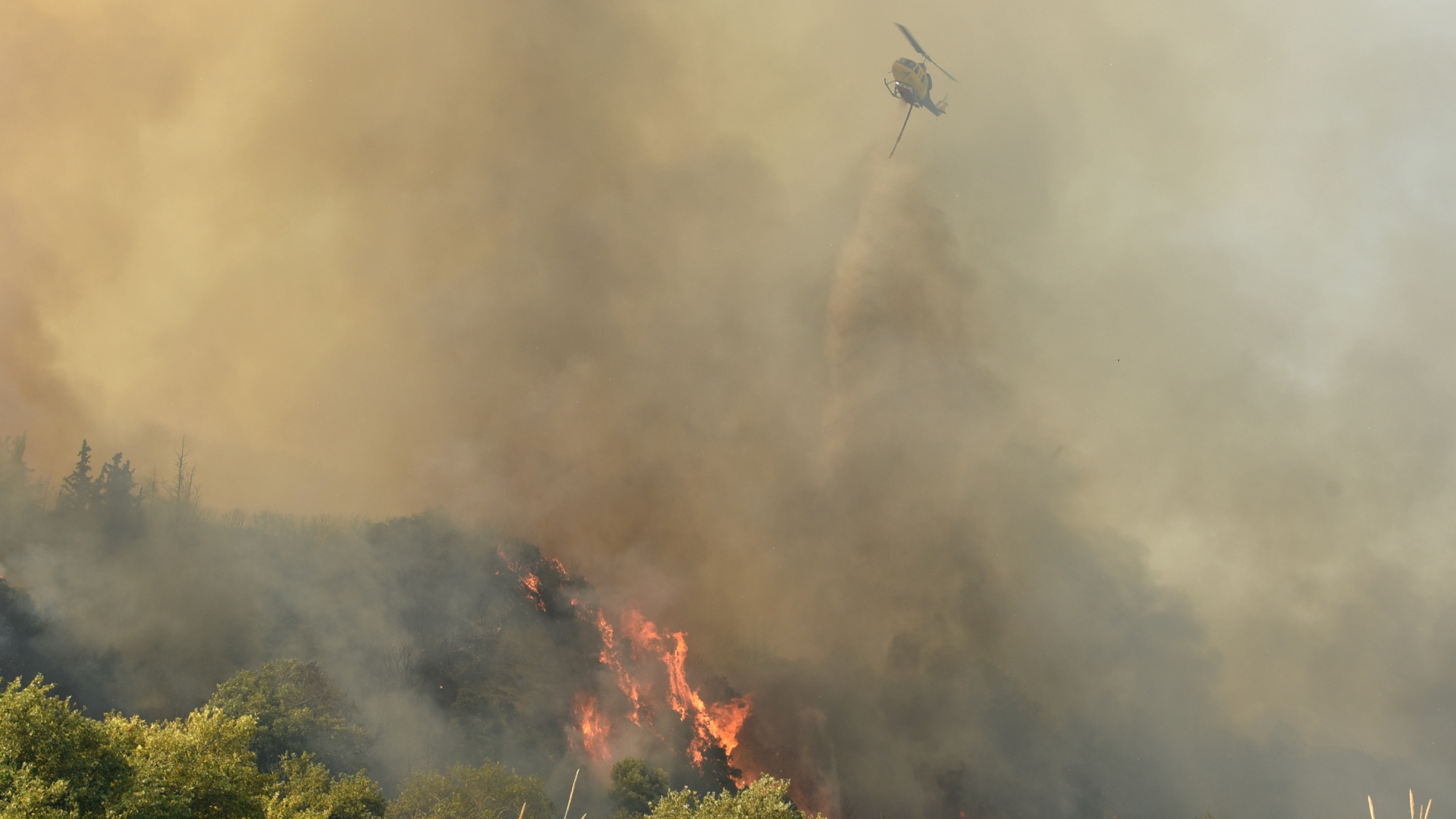 Πολύ-υψηλός-κίνδυνος-πυρκαγιάς-αύριο-σε-Αττική-και-άλλες-τρεις-Περιφέρειες