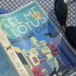 eνα-εφήμερο-βιβλιοπωλείο-στην-Υδρα-δοξάζει-την-μποέμ-κοινότητα-του-νησιού