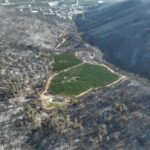 Πράσινο-στην-καμένη-γη:-Πώς-ένας-οπωρώνας-γλίτωσε-άθικτος-από-τον-πύρινο-όλεθρο