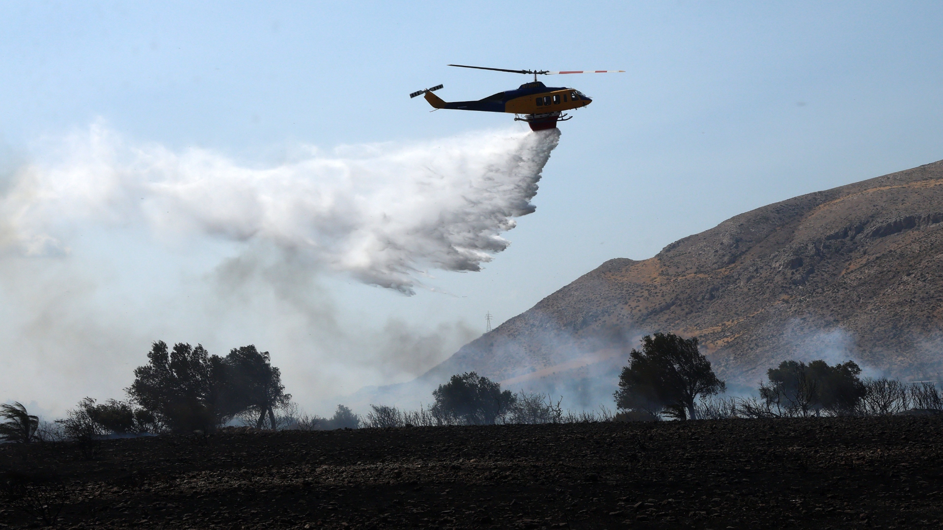 Φωτιά-στα-Οινόφυτα-–-Σηκώθηκε-ελικόπτερο