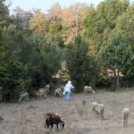 Για-ένα-μεροκάματο-του-τρόμου