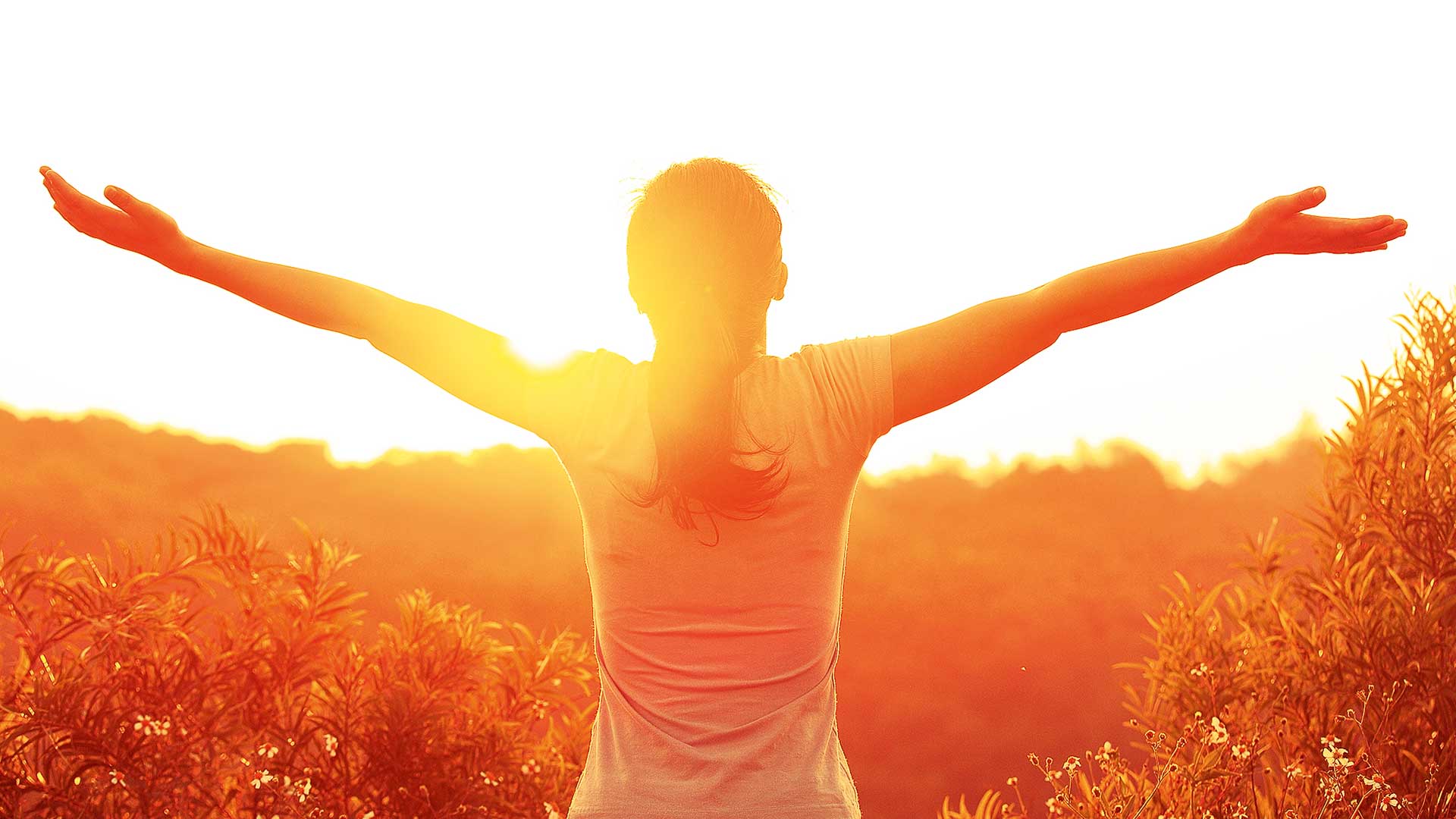 Το-πέταγμα-του-Στρούθου