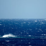 Τα-μηνύματα-της-Αγκυρας-με-τη-navtex-για-τo-«Πίρι-Ρέις»