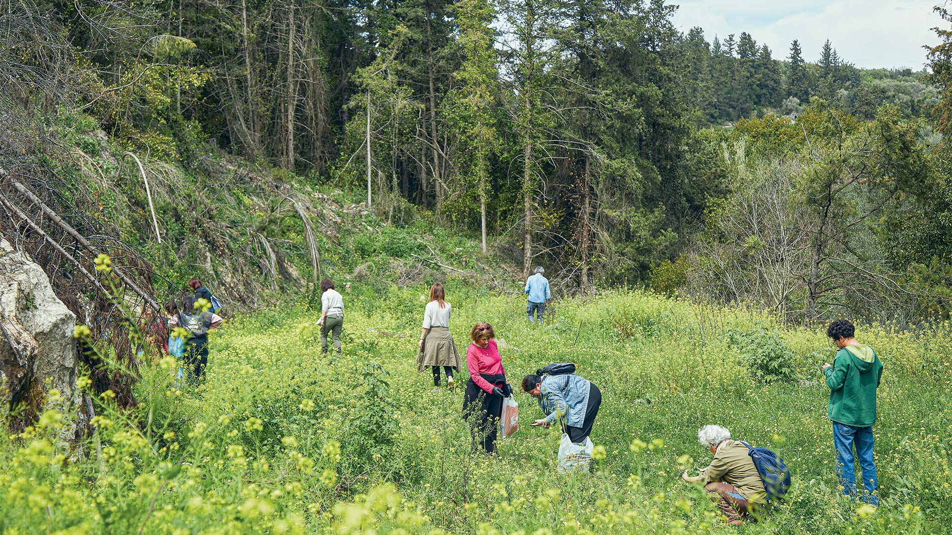 Στα-χωράφια-της-Κρήτης-για-άγρια-χόρτα