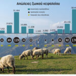 Η-ευλογιά-των-προβάτων-περνάει-στο-ράφι