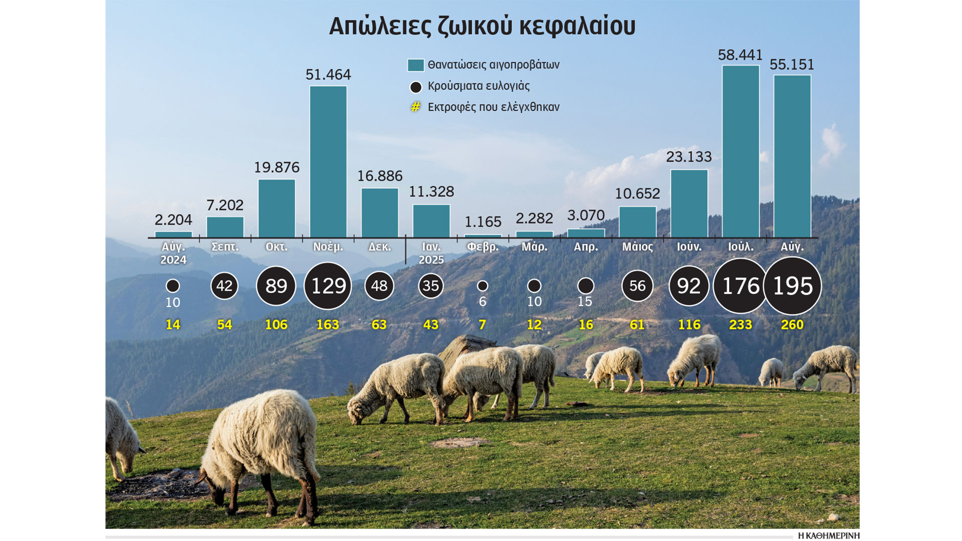 Η-ευλογιά-των-προβάτων-περνάει-στο-ράφι