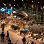 Παρίσι:-Χρυσός-600.000-ευρώ-«έκανε-φτερά»-από-το-Μουσείο-Φυσικής-Ιστορίας