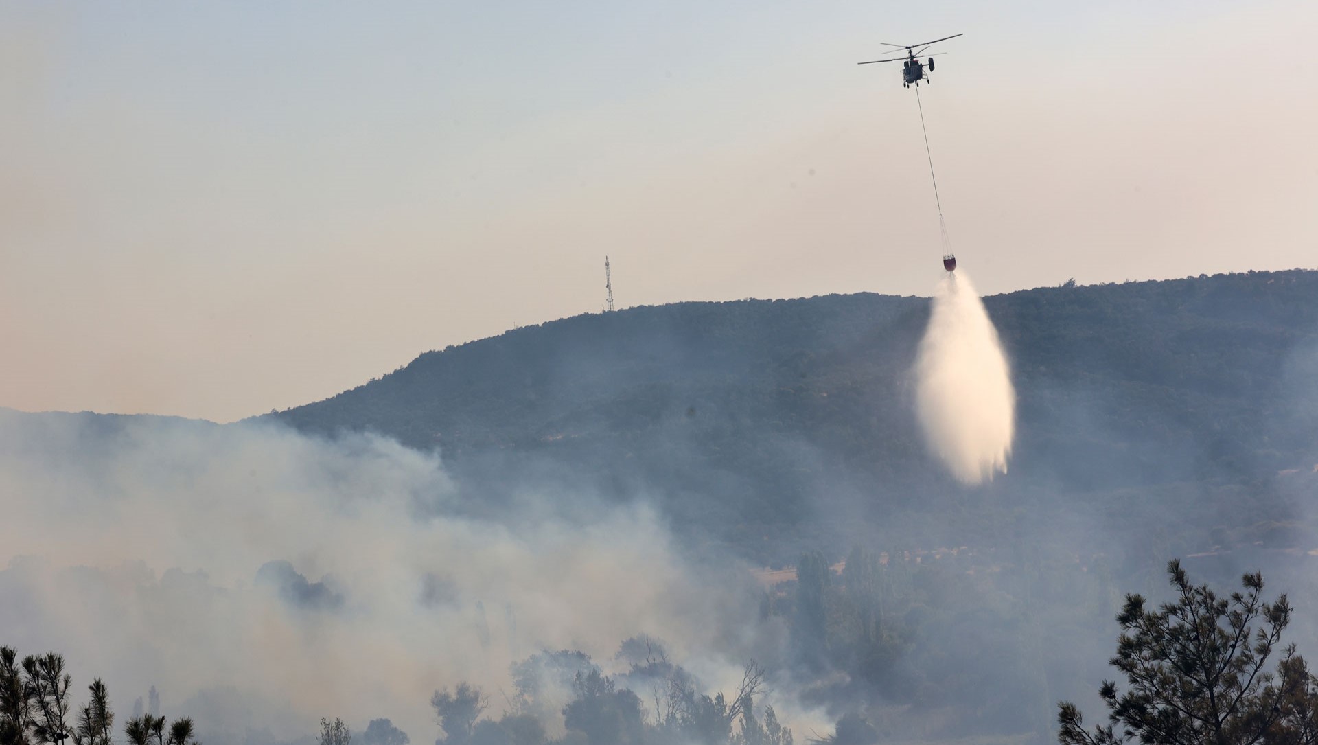 Καβάλα:-Πυρκαγιά-σε-δασική-έκταση-στo-Μυρτόφυτο-Παγγαίου