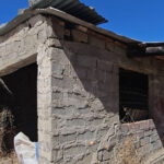 Βοιωτία:-Ελεύθερη-η-62χρονη-που-έπαιρνε-τη-σύνταξη-της-νεκρής-μητέρας-της