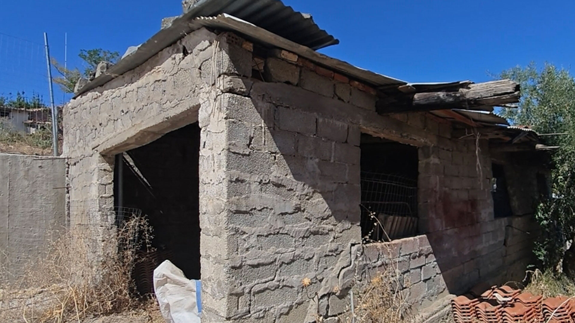 Βοιωτία:-Ελεύθερη-η-62χρονη-που-έπαιρνε-τη-σύνταξη-της-νεκρής-μητέρας-της