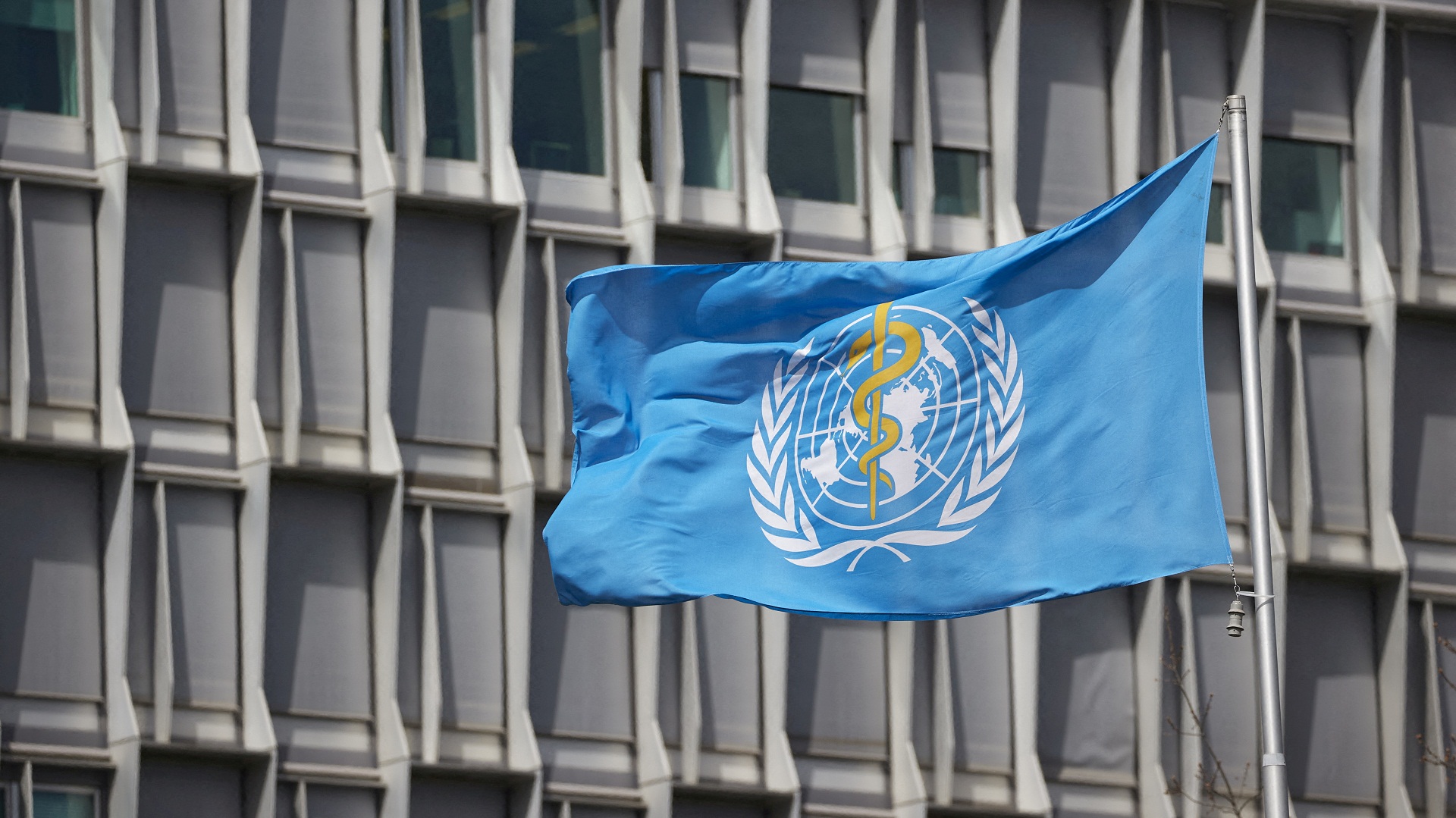 ΠΟΥ-και-ema-διαψεύδουν-Τραμπ-για-παρακεταμόλη-και-αυτισμό