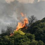Κορωπί:-Σύλληψη-δύο-ατόμων-για-πρόκληση-πυρκαγιάς-με-βεγγαλικά