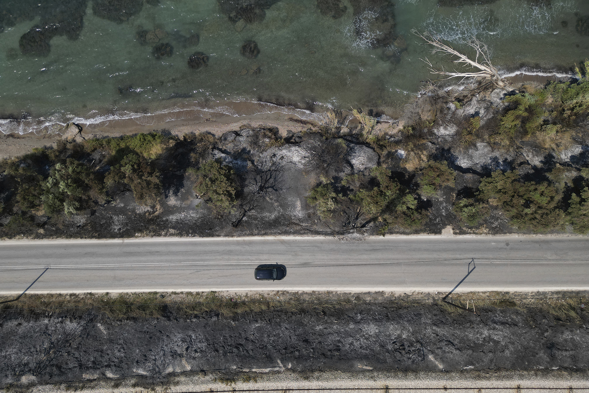 Η-«ακτινογραφία»-των-καμένων:-468.000-στρέμματα-γης-στις-φλόγες-το-2025