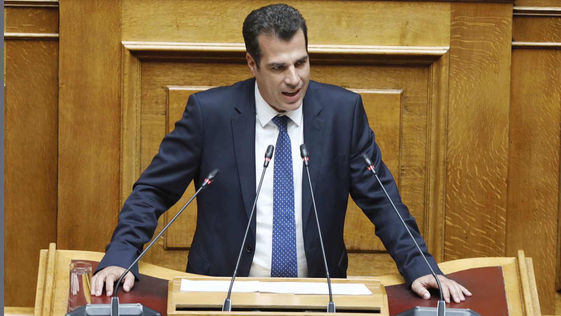 Θ.-Πλεύρης:-Για-όσους-δεν-δικαιούνται-άσυλο,-η-επιλογή-θα-είναι-ή-εθελούσια-επιστροφή-ή-κράτηση