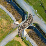 Σκάνδαλο-ΟΠΕΚΕΠΕ:-Πώς-«περνούσαν»-τα-ψευδή-παραστατικά-για-επιδοτήσεις