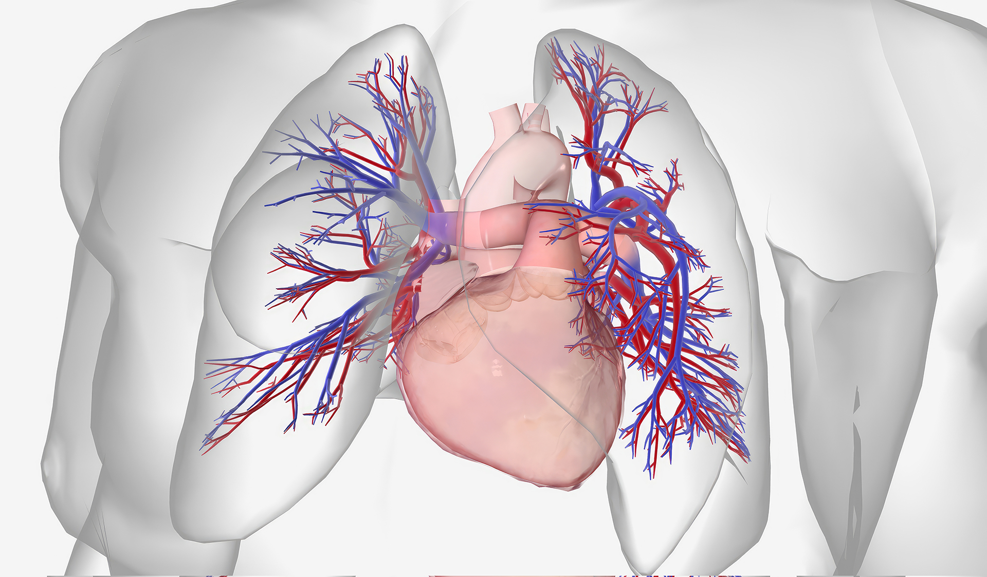 Τι-είναι-η-πνευμονική-υπέρταση;