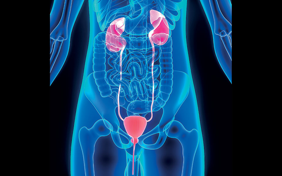 Πόνος-ή-αίσθηση-καύσου-στην-ουροδόχο-κύστη