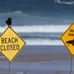 Αυστραλία:-Ομογενής-ο-σέρφερ-που-σκοτώθηκε-από-επίθεση-καρχαρία