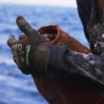 h-μάχη-για-τα-ελληνικά-χταπόδια