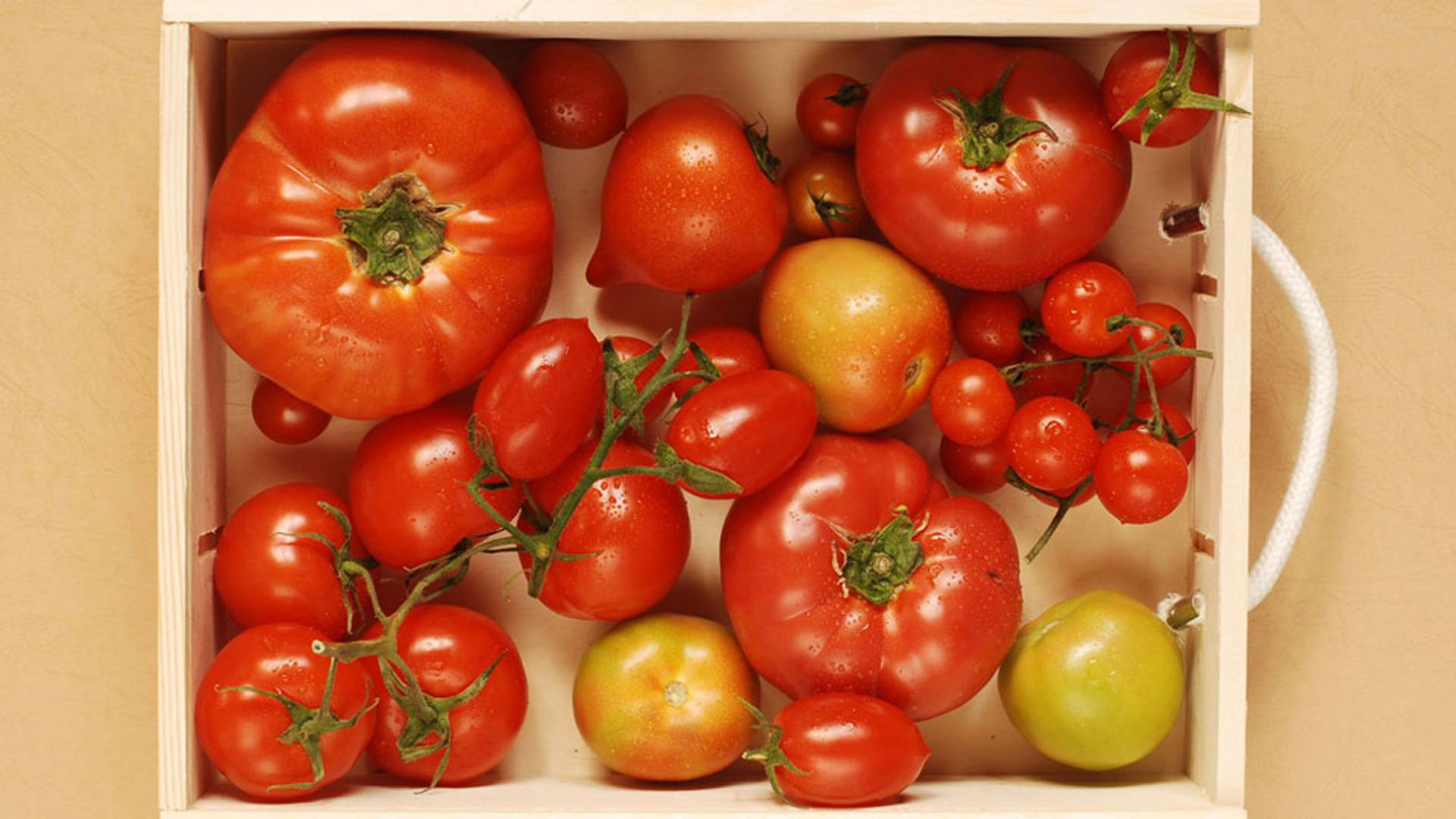 Ο-σπόρος-που-φύτεψε-ένας…καπουτσίνος