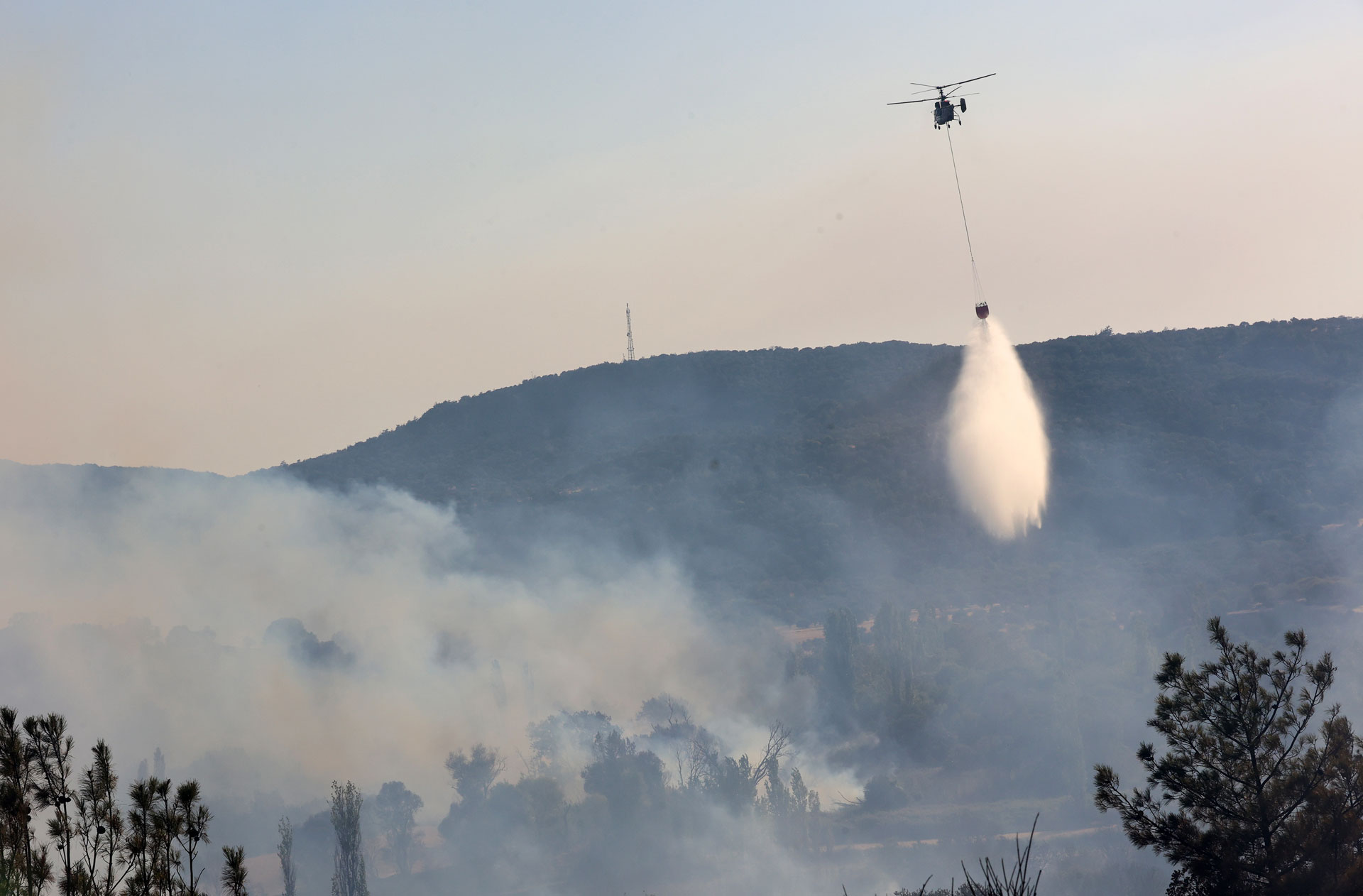 Αρκαδία:-Πυρκαγιά-σε-δασική-έκταση-στη-Στεμνίτσα-–-Ισχυρές-δυνάμεις-στο-σημείο
