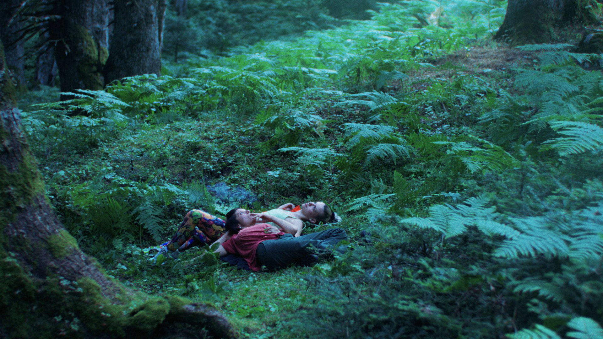 «Αρκουδότρυπα»:-Καταφύγιο-στην-ορεινή-φύση