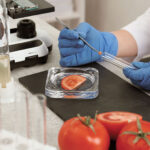 Εϊμι-Γουέμπ-στην-«Κ»:-Σαν-συγγραφή-της-ζωής