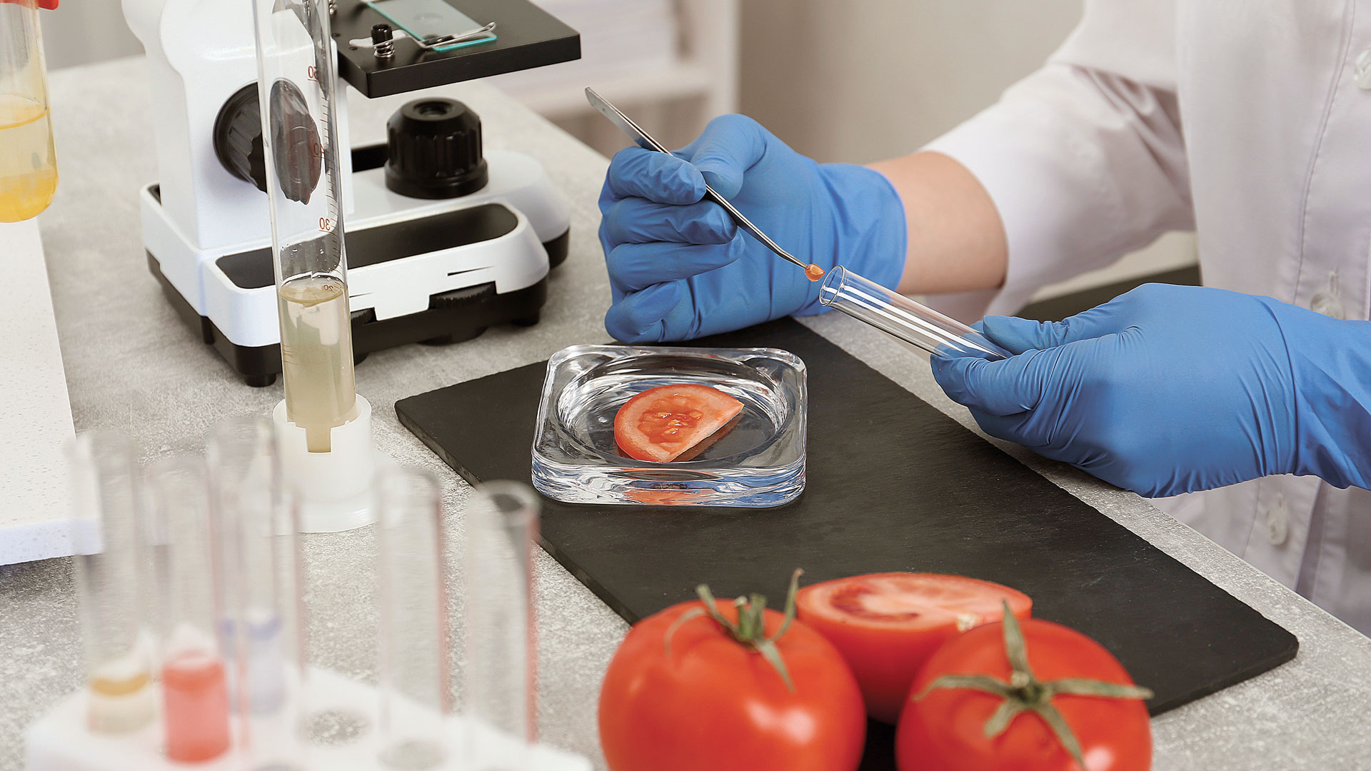 Εϊμι-Γουέμπ-στην-«Κ»:-Σαν-συγγραφή-της-ζωής