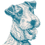 Μια-προσευχή-για-τα-σκυλιά-του-θεού