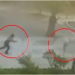 Φοινικούντα:-Βίντεο-ντοκουμέντο-από-την-πρώτη-επίθεση-κατά-του-ιδιοκτήτη-κάμπινγκ