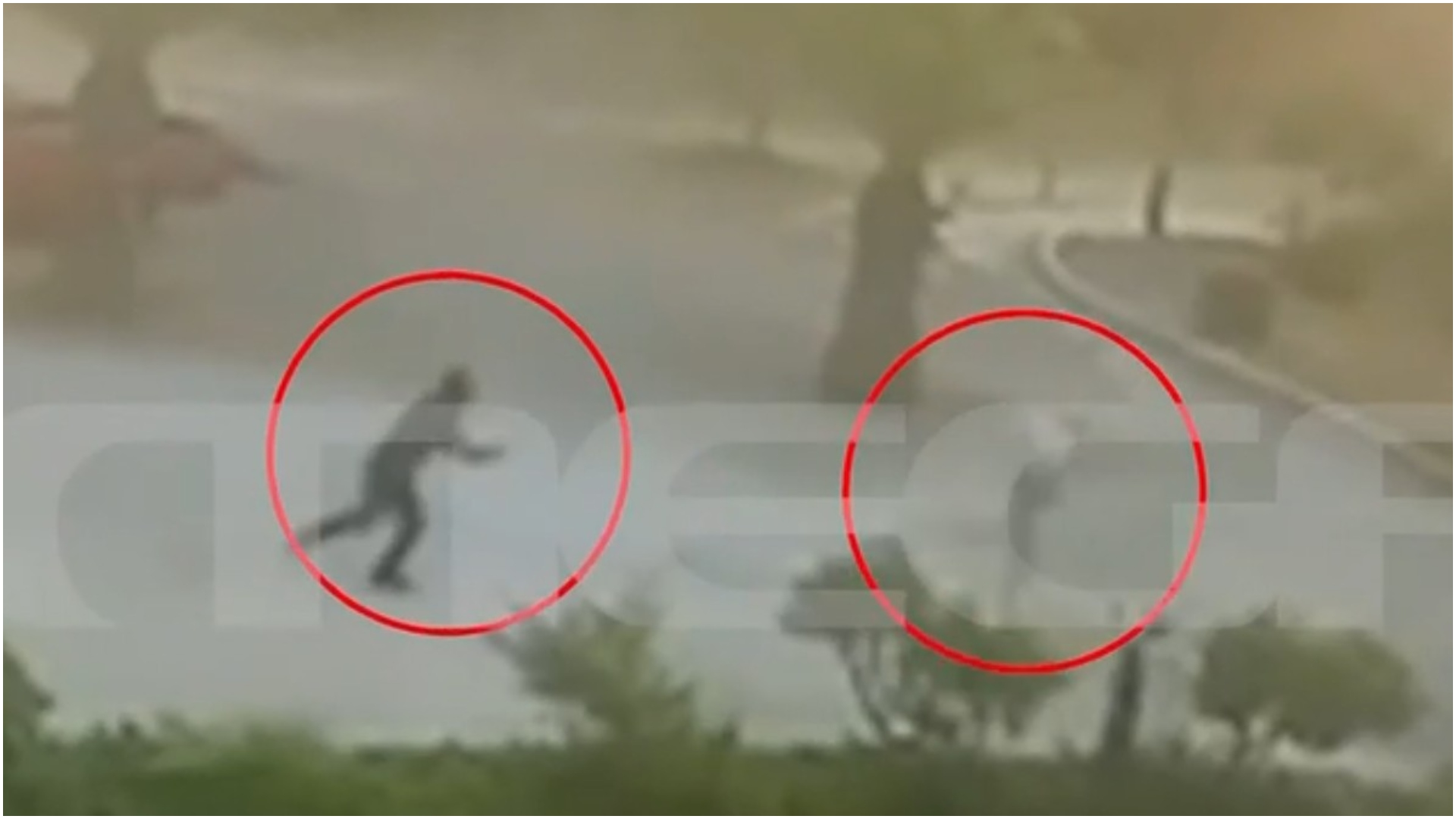 Φοινικούντα:-Βίντεο-ντοκουμέντο-από-την-πρώτη-επίθεση-κατά-του-ιδιοκτήτη-κάμπινγκ