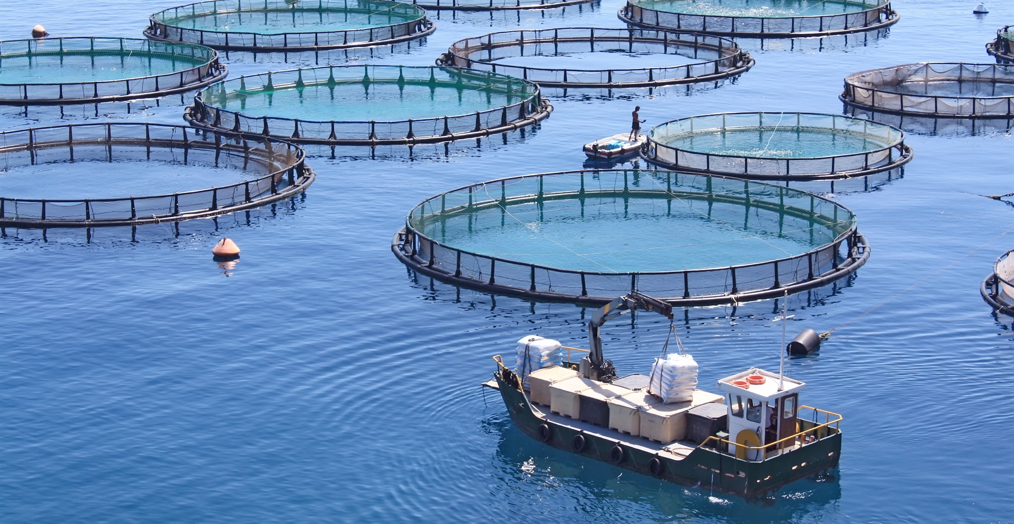 h-avramar,-η-συμφωνία-και-η-«σφήνα»-cooke