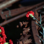 Πολυτεχνείο:-Ξεκίνησαν-οι-εκδηλώσεις-–-Έκτακτες-κυκλοφοριακές-ρυθμίσεις-στο-κέντρο-της-Αθήνας