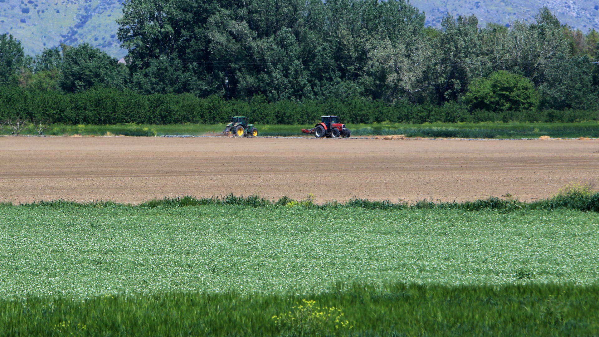 Χωρίς-συμβόλαιο